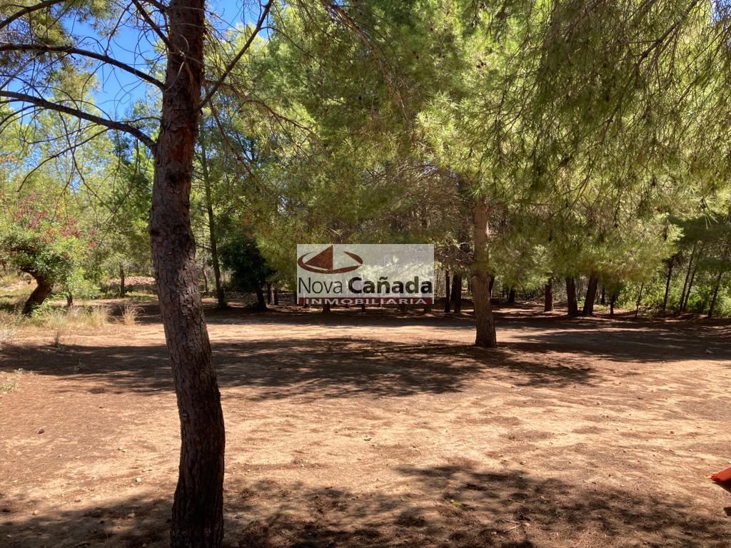 Rustikales Grundstück zum Kauf in La Cañada, Paterna