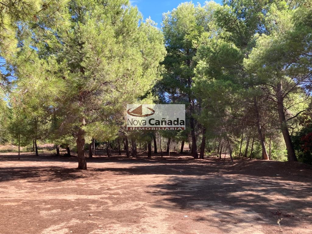 Rustikales Grundstück zum Kauf in La Cañada, Paterna